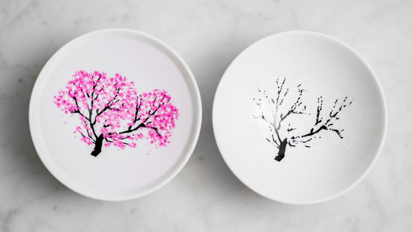 Magic Sakura Cherry Blossom Sake Cup